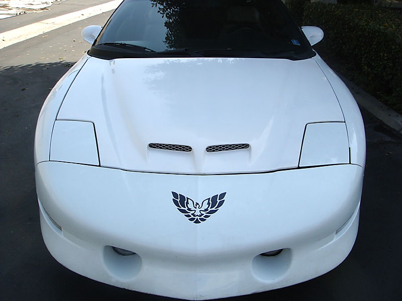 93-97 LT1 Trans Am WS6 Trufiber Hood