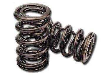 98-02 LS1 Comp Cams Dual Valve Springs (26921-16)